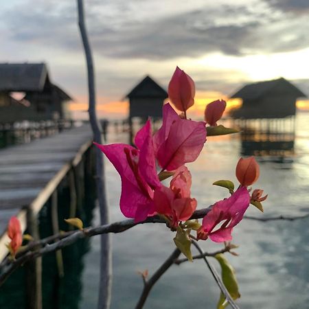 Nyanse Homestay - Raja Ampat Besir Exteriör bild