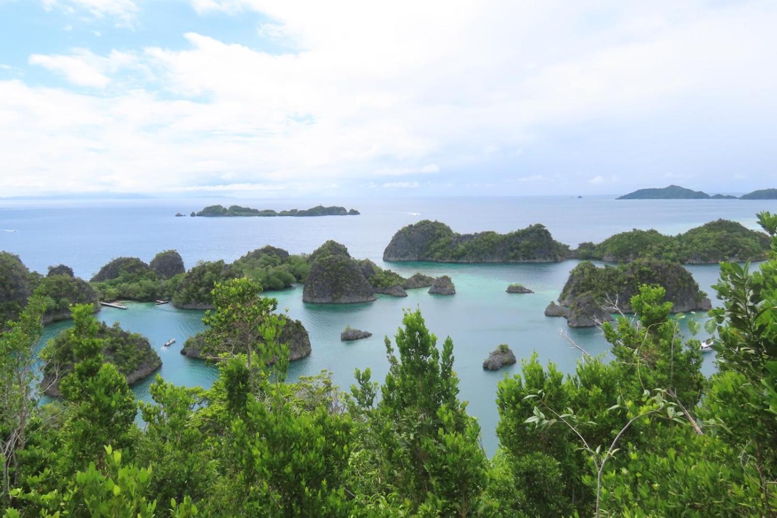 Nyanse Homestay - Raja Ampat Besir Exteriör bild