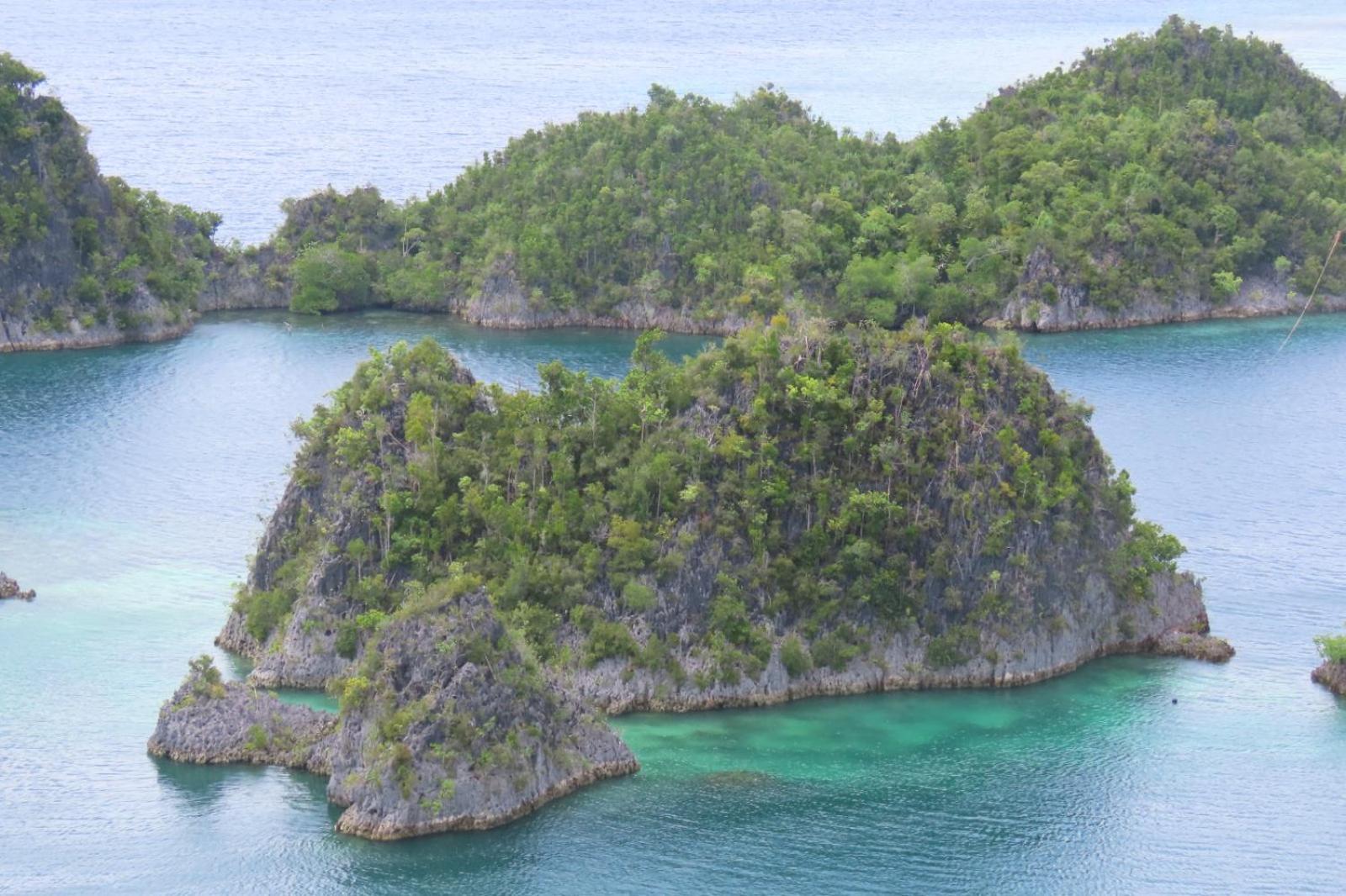 Nyanse Homestay - Raja Ampat Besir Exteriör bild