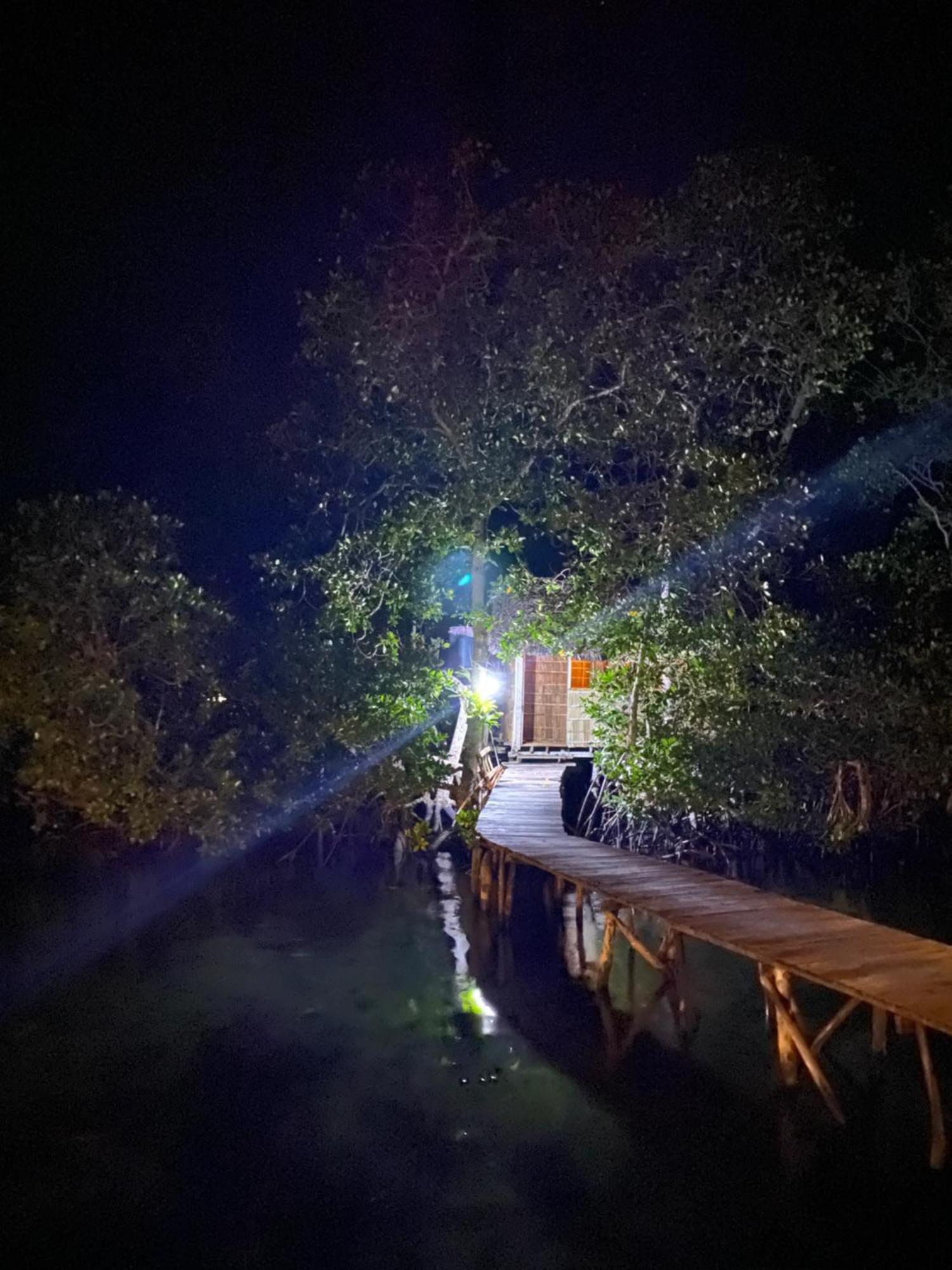 Nyanse Homestay - Raja Ampat Besir Exteriör bild