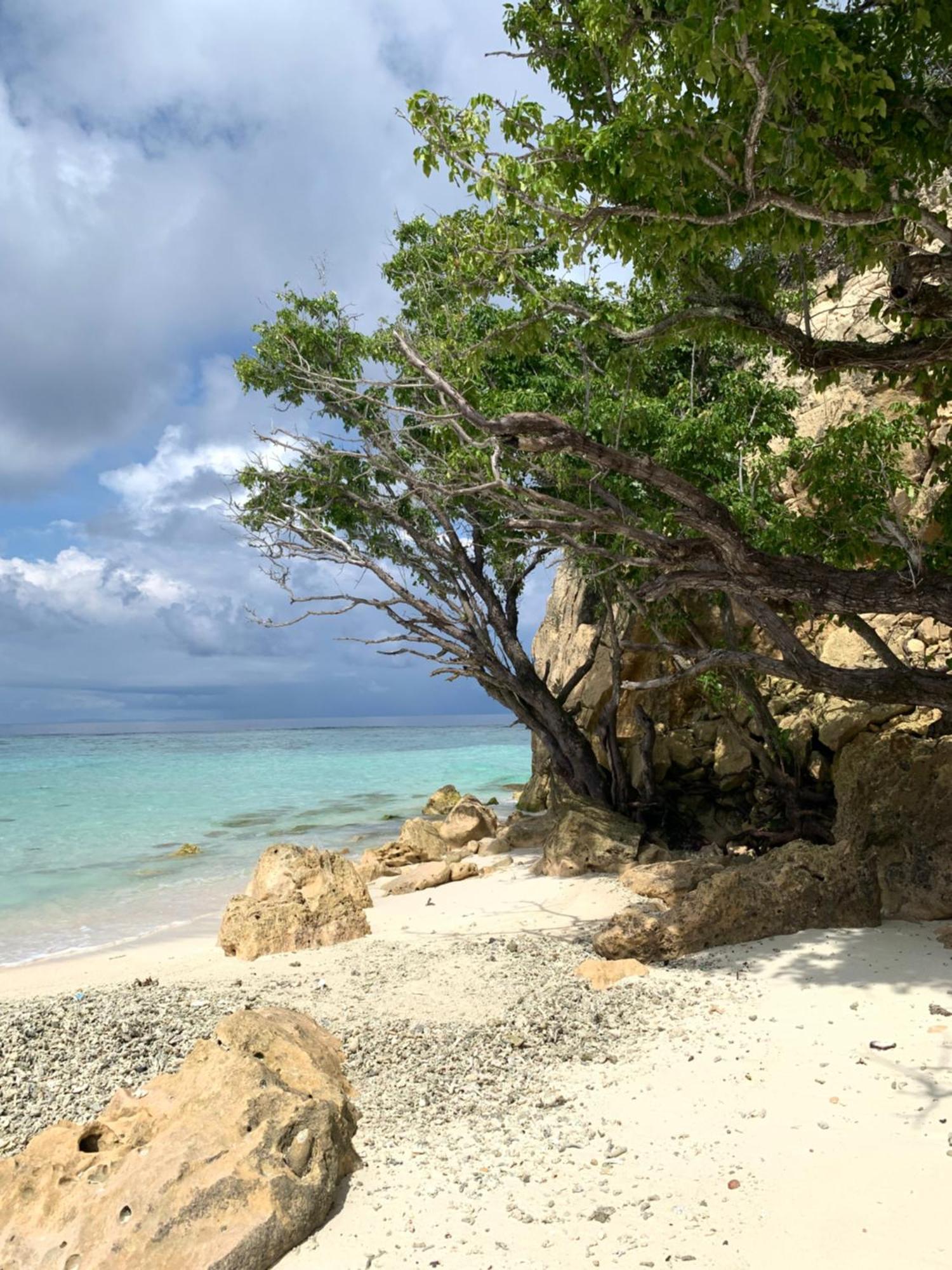 Nyanse Homestay - Raja Ampat Besir Exteriör bild