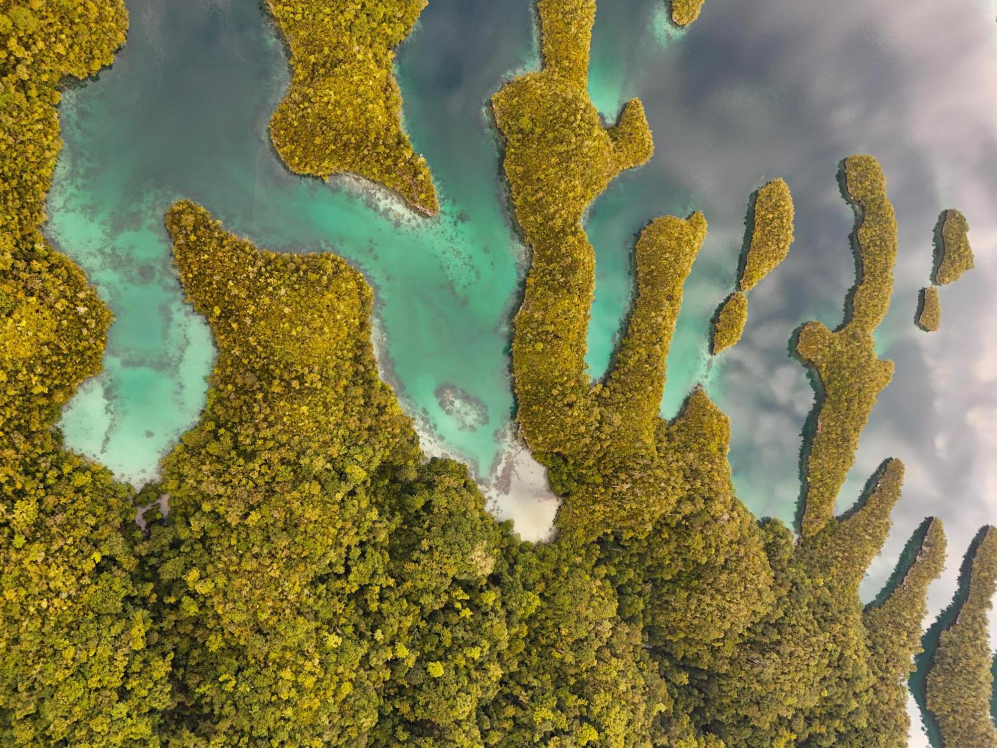 Nyanse Homestay - Raja Ampat Besir Exteriör bild