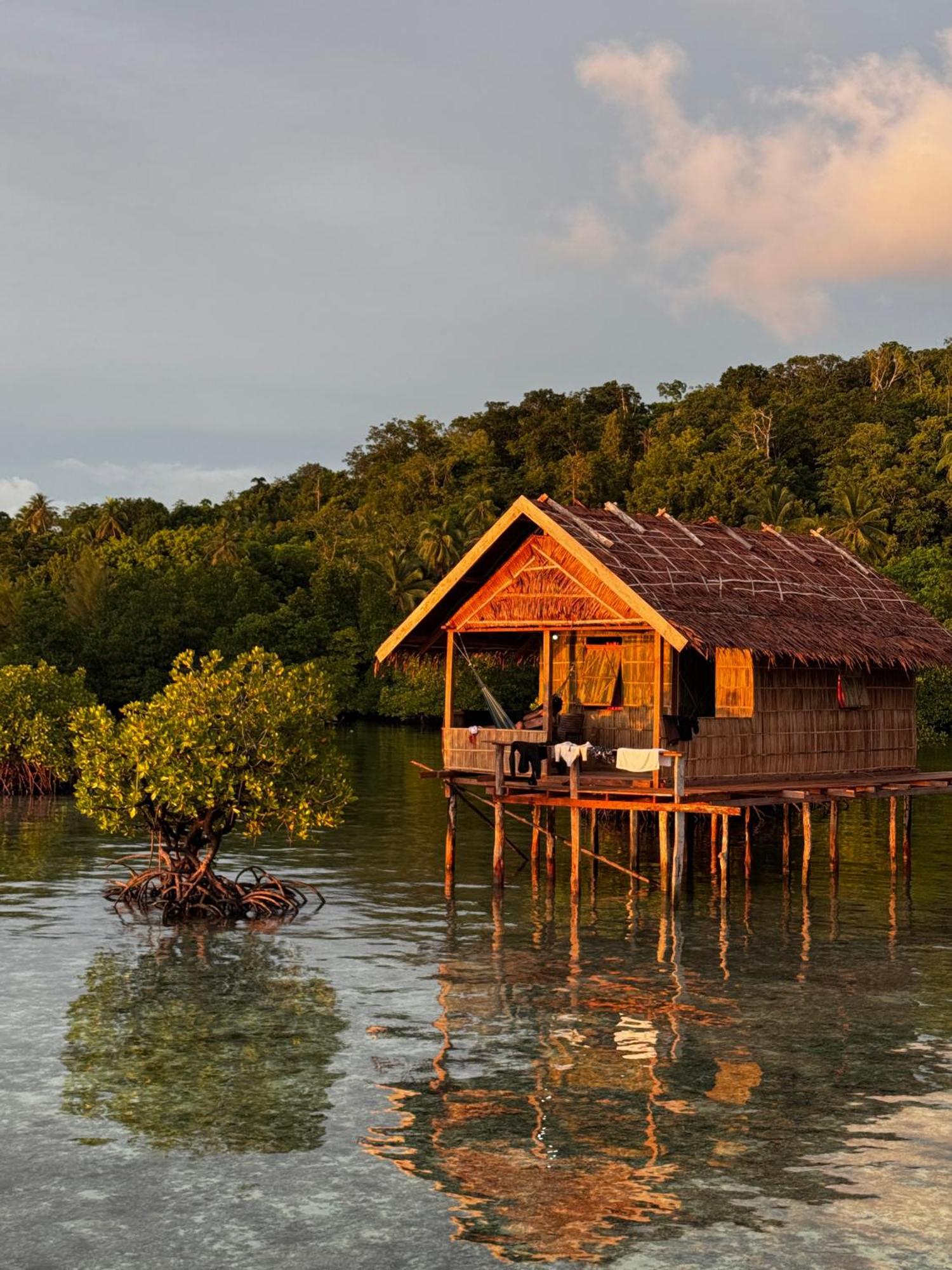 Nyanse Homestay - Raja Ampat Besir Exteriör bild